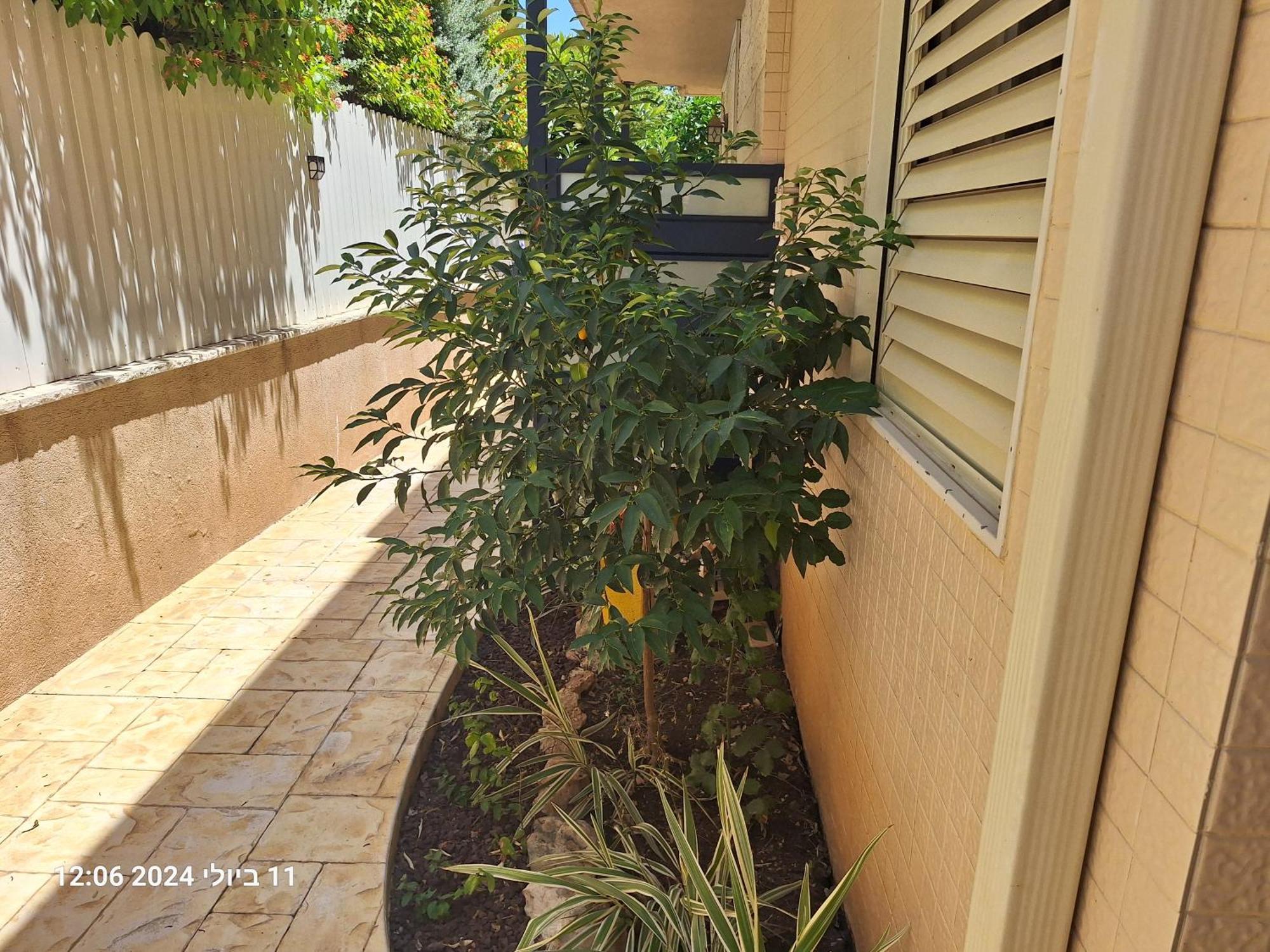 הבית הירוק Karmiel Exterior foto